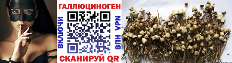 Галлюциногенные грибы прущие грибы  Купить где  Полевской 